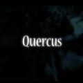 Quercus - un court métrage sur l'histoire du liège